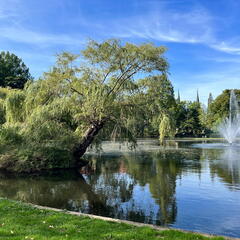 23-09-20 12-48-25 7154